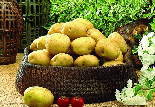 吃土豆能減肥嗎?