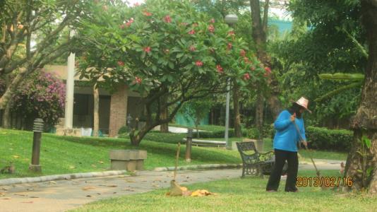 公園里唱歌的.清潔工