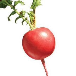 ʹLί߷BPI